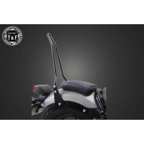 Garage T＆F ガレージ 純正フェンダー専用シーシーバー カラー