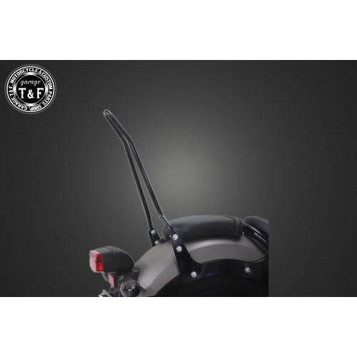 Garage T＆F ガレージ 純正フェンダー専用シーシーバー カラー