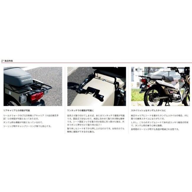 ワールドウォーク（WORLD WARK） World Walk タンデムシート+キャリア