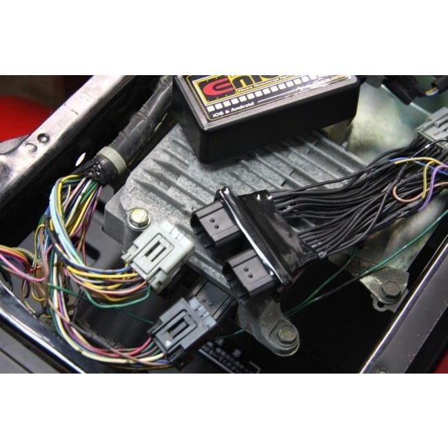 DILTS JAPAN ディルツジャパン ENIGMA type RTF ジャイロX ジャイロ