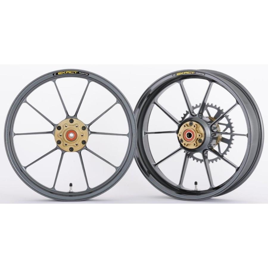 ADVANTAGE アドバンテージ EXACT[イグザクト] II RACING 10 フル鍛造アルミホイール カラー：ガンメタ M1000RR BMW ホイール ホイール関連 足回り