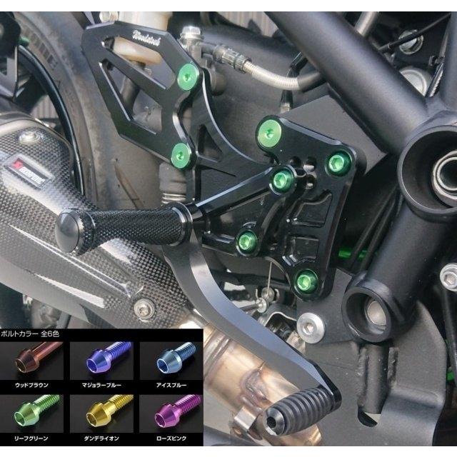 確認用19 woodstock（ウッドストック） バックステップキット バックステップ