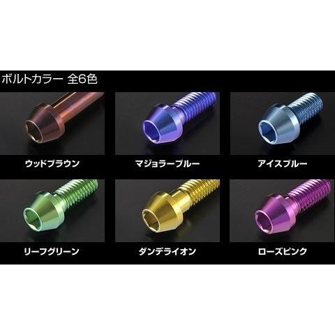 WOODSTOCK ウッドストック バックステップ βチタニウムボルト