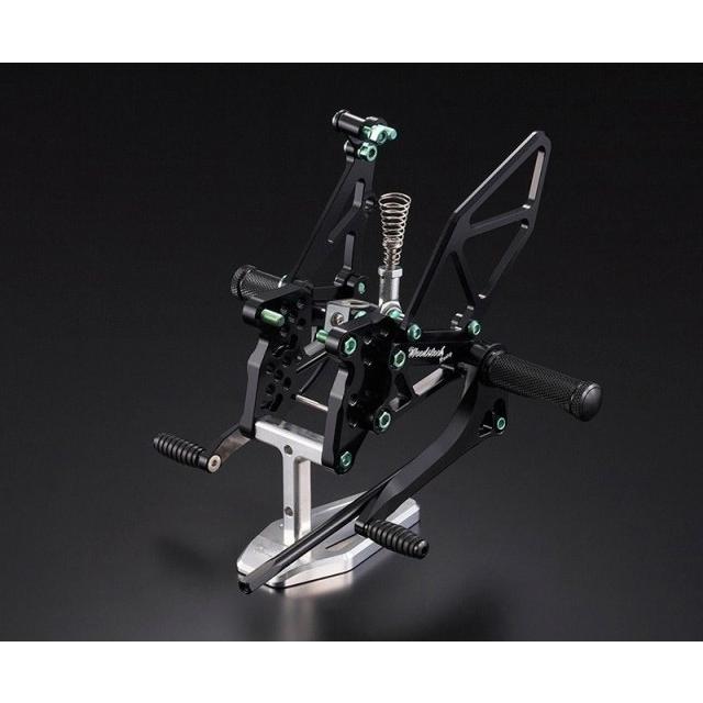 WOODSTOCK WOODSTOCKウッドストック バックステップ βチタニウムボルトバージョン：ダンデライオン ZX10R