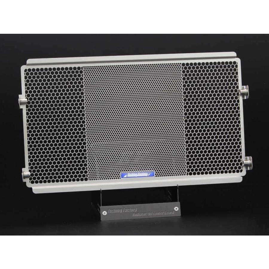 Etching Factory（エッチングファクトリー） ラジエターガード カラー