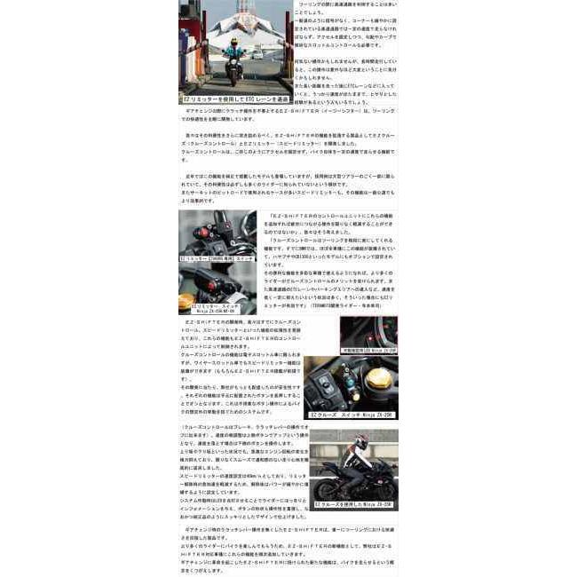 T-REV(寺本自動車商会) ティーレブ EZリミッター Z900RS KAWASAKI