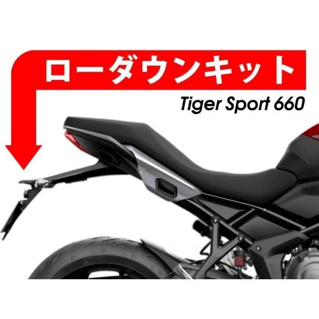 P&A International P&A International:P&Aインターナショナル ローダウンキット ダウン量：30mm Tiger Sport 660｜webike｜02