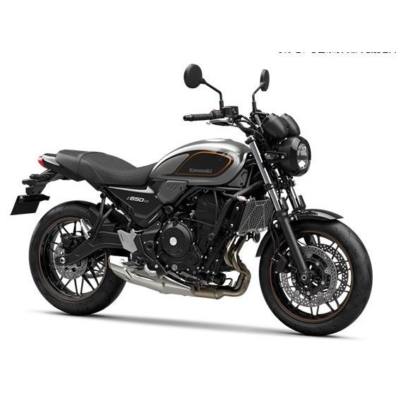 Kawasaki カワサキ ラジエタースクリーン Z650RS KAWASAKI ラジエーターコアガード・オイルクーラーコアガード 冷却関連 エンジンの画像