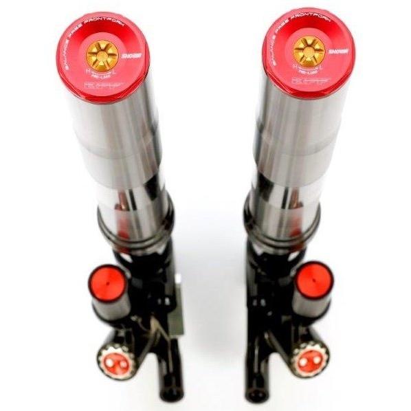 ADVANTAGE アドバンテージ SHOWA[ショーワ] BFF(Balance Free