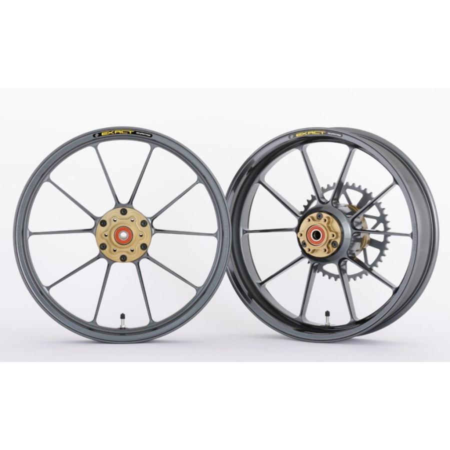 ADVANTAGE アドバンテージ EXACT[イグザクト] II RACING 10 フル鍛造アルミホイール 前後セット カラー：ガンメタ RGV250γ SUZUKI スズキ ホイール 足回り