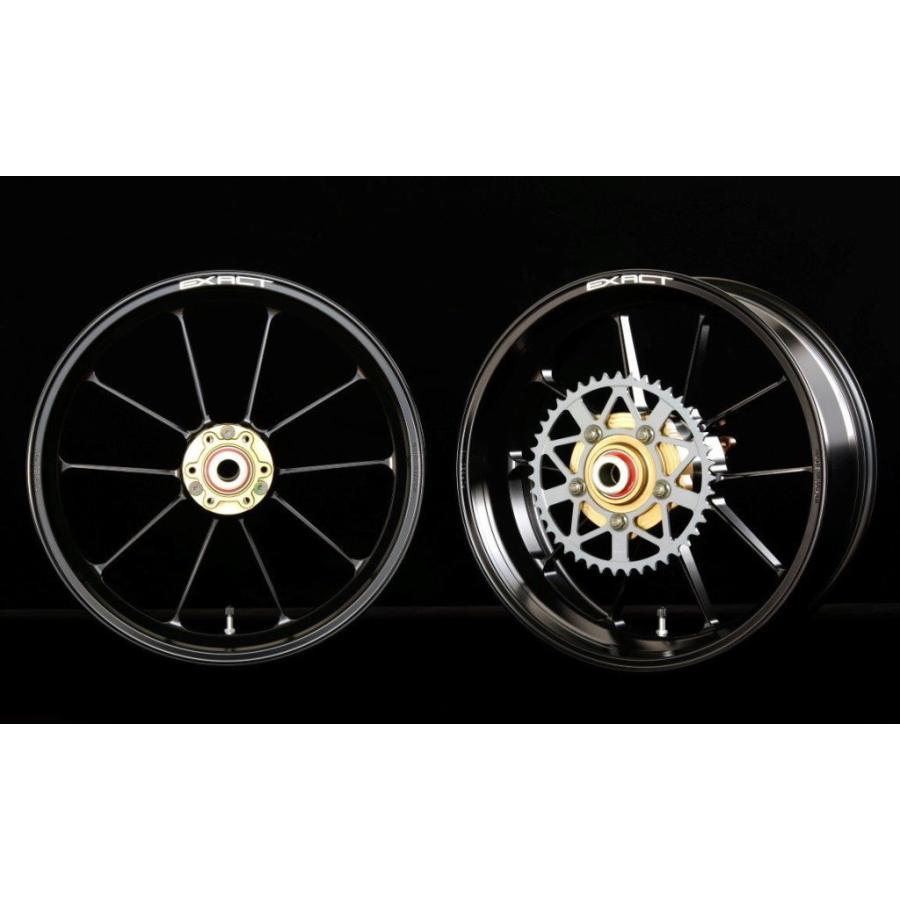 ADVANTAGE アドバンテージ EXACT[イグザクト] II RACING 10 フル鍛造アルミホイール 前後セット カラー：半艶ブラック RGV250γ SUZUKI スズキ ホイール 足回り