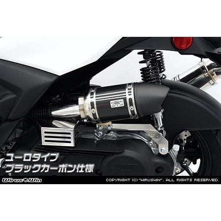 WirusWin FTR用サイレンサー型エアクリーナーKit WirusWin ウイルズウィン サイレンサー型エアクリーナーキット