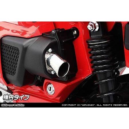 WirusWin（ウイルズウィン） エアクリーナー専用テール型カバー タイプ
