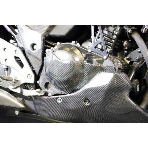 A-TECH（エーテック） ジェネレーターカバー 素材：DCK ドライカーボン