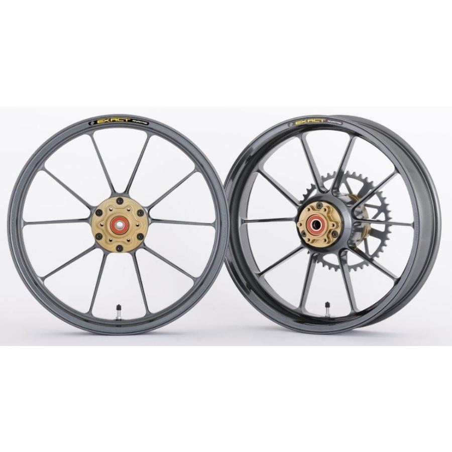 ADVANTAGE アドバンテージ EXACT[イグザクト] II RACING 10 フル鍛造アルミホイール 前後セット カラー：ガンメタ R1Z YAMAHA ヤマハ ホイール ホイール関連