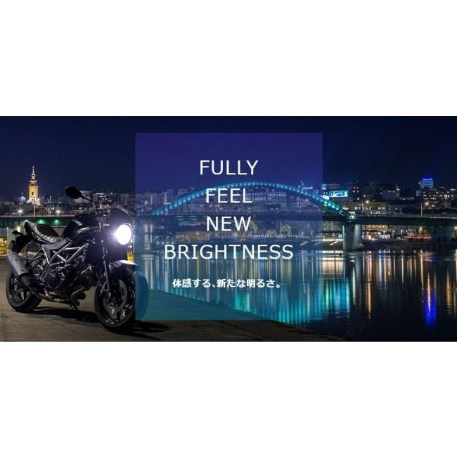 SPHERE LIGHT スフィアライト バイク用LEDヘッドライト RIZING3 H4 Hi/Lo ケルビン数：6000K LEDヘッドライトバルブ 灯火類 電装系の画像