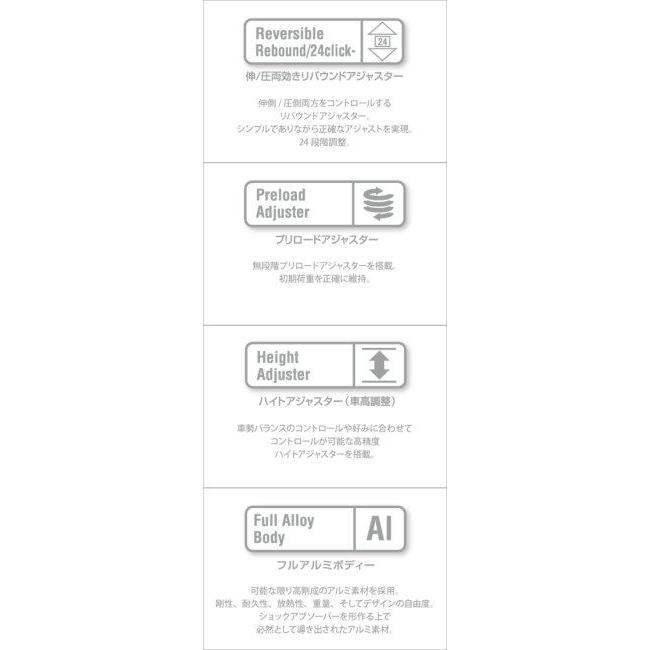 NITRON ナイトロン リアサスペンションツインショック TWIN R1 シリーズ テーマカラー：ブラック / スプリングカラー：ブラック Rebel1100 HONDA ホンダ 足回り | NITRON | 05