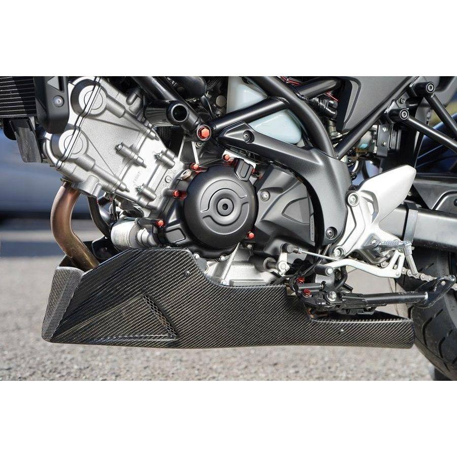 才谷屋 アンダーカウル 11~15ZX-10R ｱﾝﾀﾞｰｶｳﾙ | EIGHT （才谷屋ファクトリー､HEART）