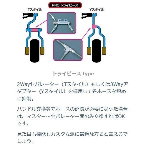 SWAGE-LINE スウェッジライン プロ リア ブレーキホースキット フィッティングカラー：ステンレス / ホースカラー：ブラック Rebel250 HONDA ホンダ ブレーキ_16