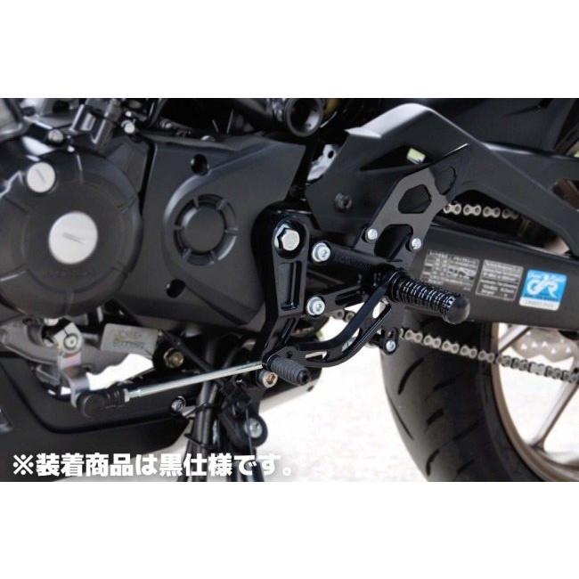 モリワキ MORIWAKI ENGINEERING モリワキエンジニアリング バック