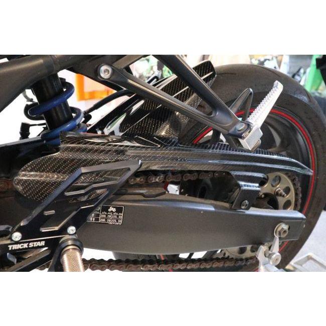 Carbon Variasi カーボンバリアシ リアインナーフェンダー YZF-R25 MT