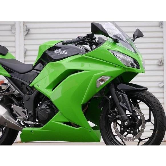 EIGHT(才谷屋) エイト(サイタニヤ) フルカウル 素材：黒ゲル Ninja250 