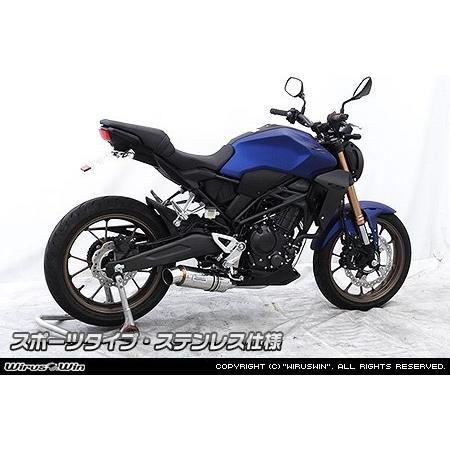 WirusWin ウイルズウィン ダイナミックマフラー サイレンサー出口 