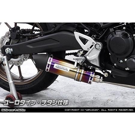 WirusWin（ウイルズウィン） ダイナミックマフラー サイレンサー出口