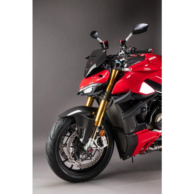 LighTech ライテック タコメーターカバー STREETFIGHTER V4 V4S DUCATI ドゥカティ メーターバイザー カウル関連 外装_6