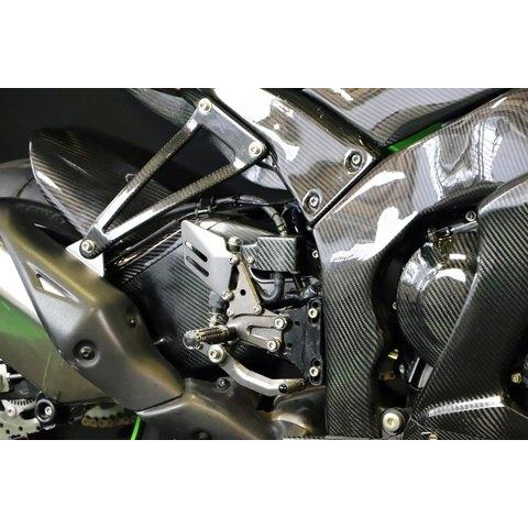 A-TECH エーテック リアブレーキタンクガード 素材：DCK ドライカーボンケブラー Ninja ZX-10R KAWASAKI カワサキ マスターシリンダーガード ブレーキの画像