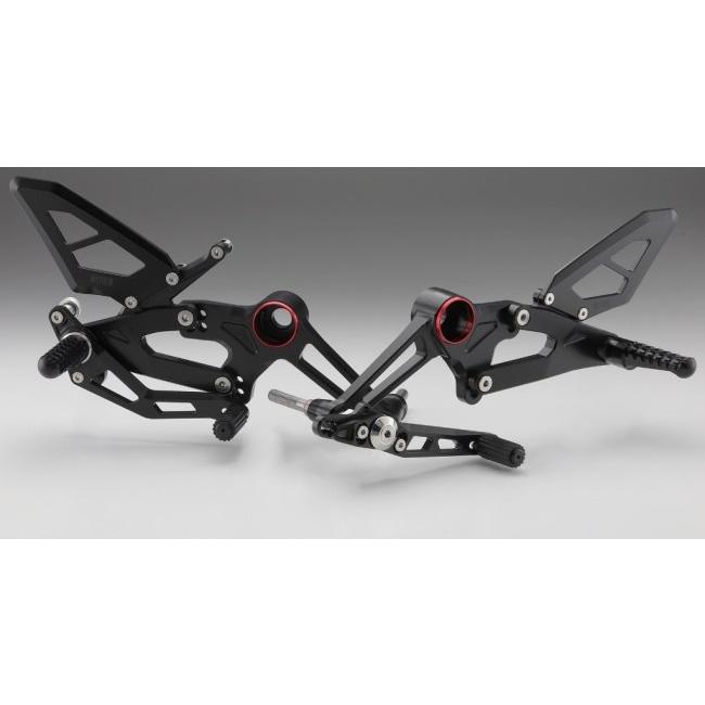 AELLA アエラ ライディングステップキット カラー：ホワイト(無着色アルマイト) RS660 APRILIA アプリリア バックステップ ステップ 足回り_1