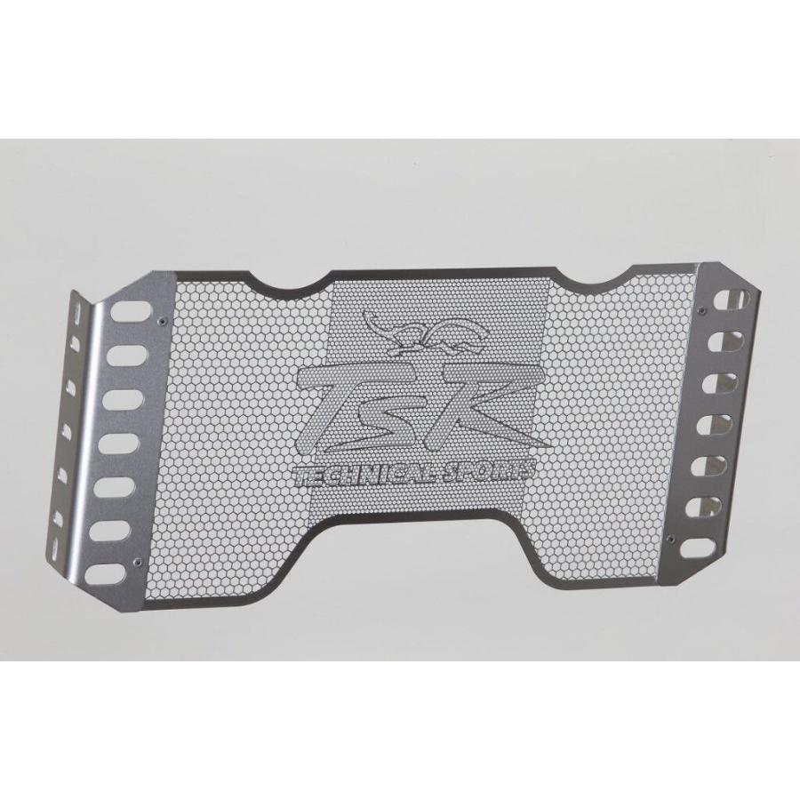 TSR テクニカルスポーツレーシング ラジエーターコアガード カラー