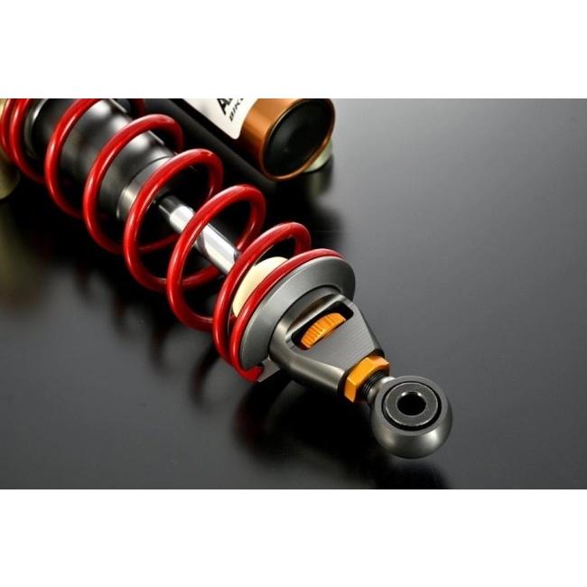 ADVANTAGE（アドバンテージ） SHOWA [ショーワ] RS-γリア