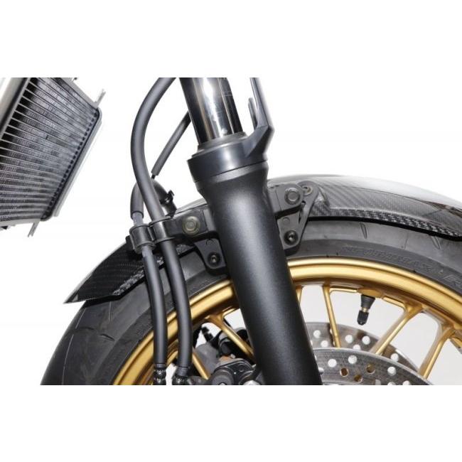 NEXRAY CARBON DRY ネクスレイカーボンドライ フロントフェンダー