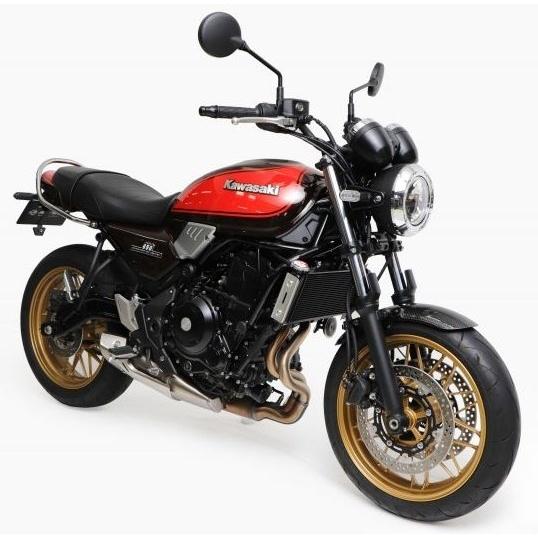 NEXRAY CARBON DRY ネクスレイカーボンドライ フロントフェンダー