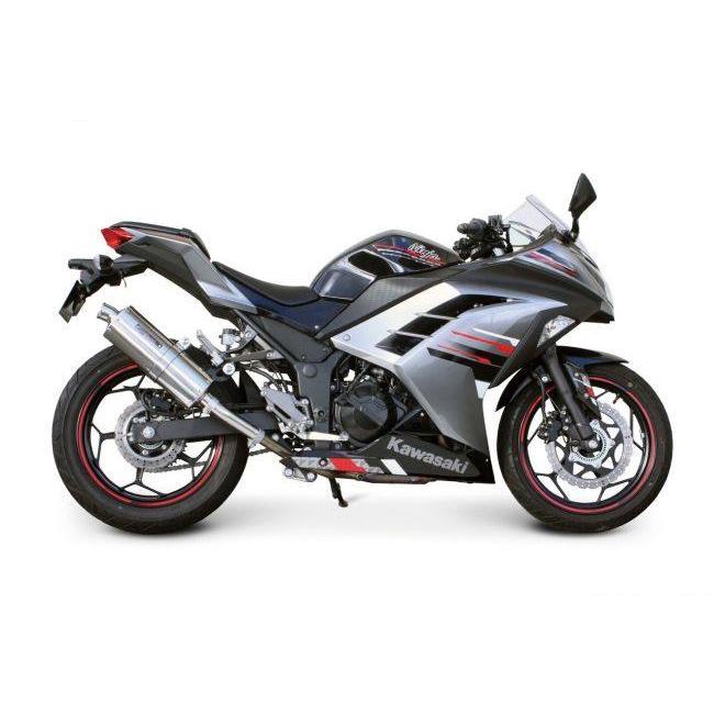 その他 300 キハダ sr PEARL WHITE🔥🏍️🇯🇵 📸 @jkun.zx #zx25r