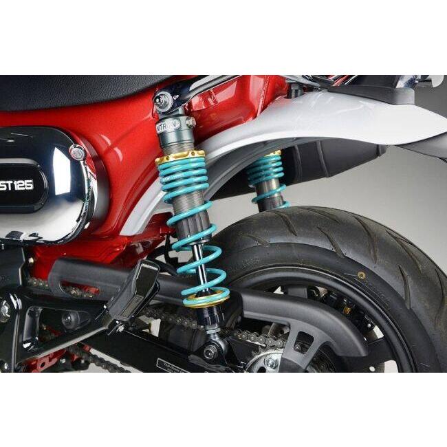 NITRON（ナイトロン） リアサスペンションツインショック TWIN R1