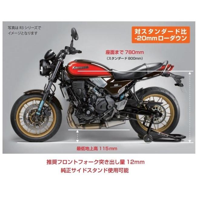 NITRON ナイトロン リアサスペンションモノショック NTR R1 NITRON ナイトロン リアサスペンションモノショック NTR R1