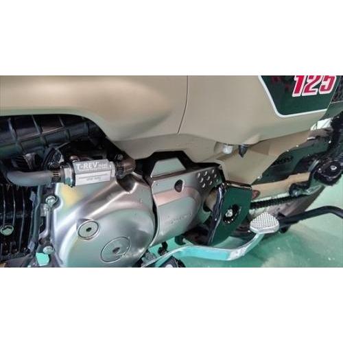 T-REV(寺本自動車商会) ティーレブ T-REVmini SPキット カラー：チタン