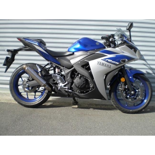 ASAHINA RACING アサヒナレーシング GP フォーミュラ スリップオン R25
