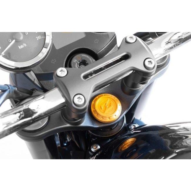 ARCHI アーキ ステムトップ キャップカバー ver.Z 【Webike限定】 カラー：ゴールド Z900RS CAFE KAWASAKI カワサキ ステムナット・ステムボルト ハンドル | ARCHI（バイク） | 01