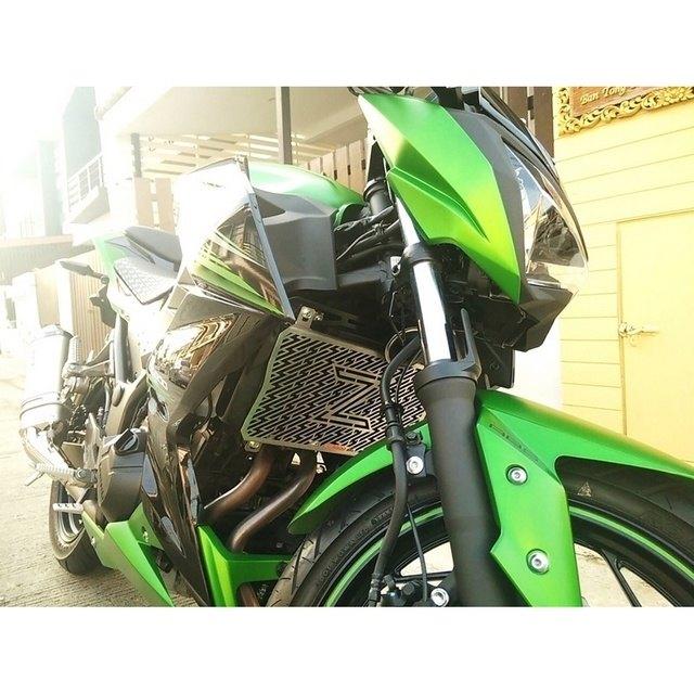 GUARDO ガルドー Stainless Steel Radiator Guard Z300 KAWASAKI カワサキ ラジエーターコアガード・オイルクーラーコアガード 冷却関連 エンジンの画像