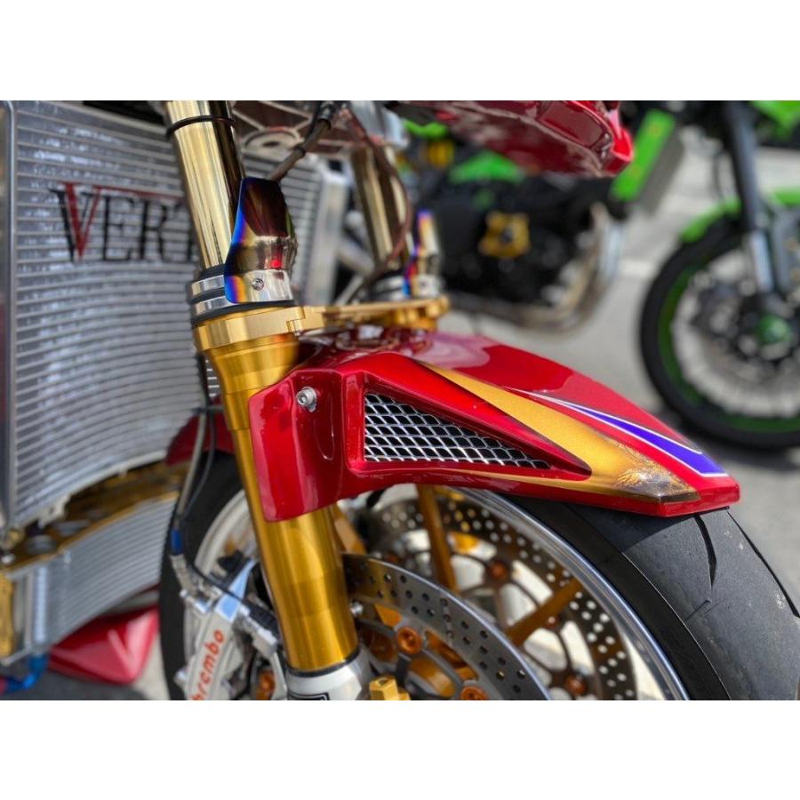 VERTIA ヴェルティア フロントフェンダー タイプ：Carbon ZRX1200DAEG