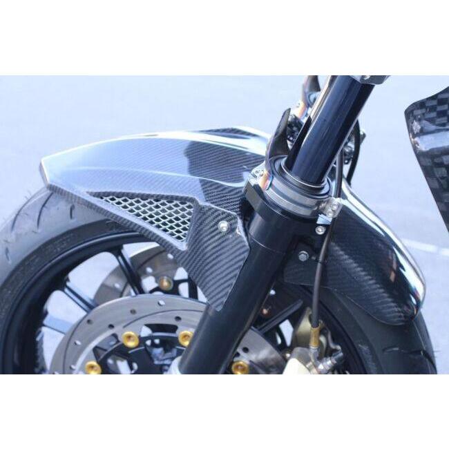 VERTIA ヴェルティア フロントフェンダー タイプ：Carbon ZRX1200DAEG