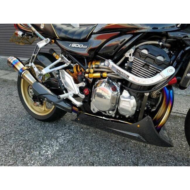 VERTIA ヴェルティア アンダーカウル タイプ：Carbonステー付き Z900RS