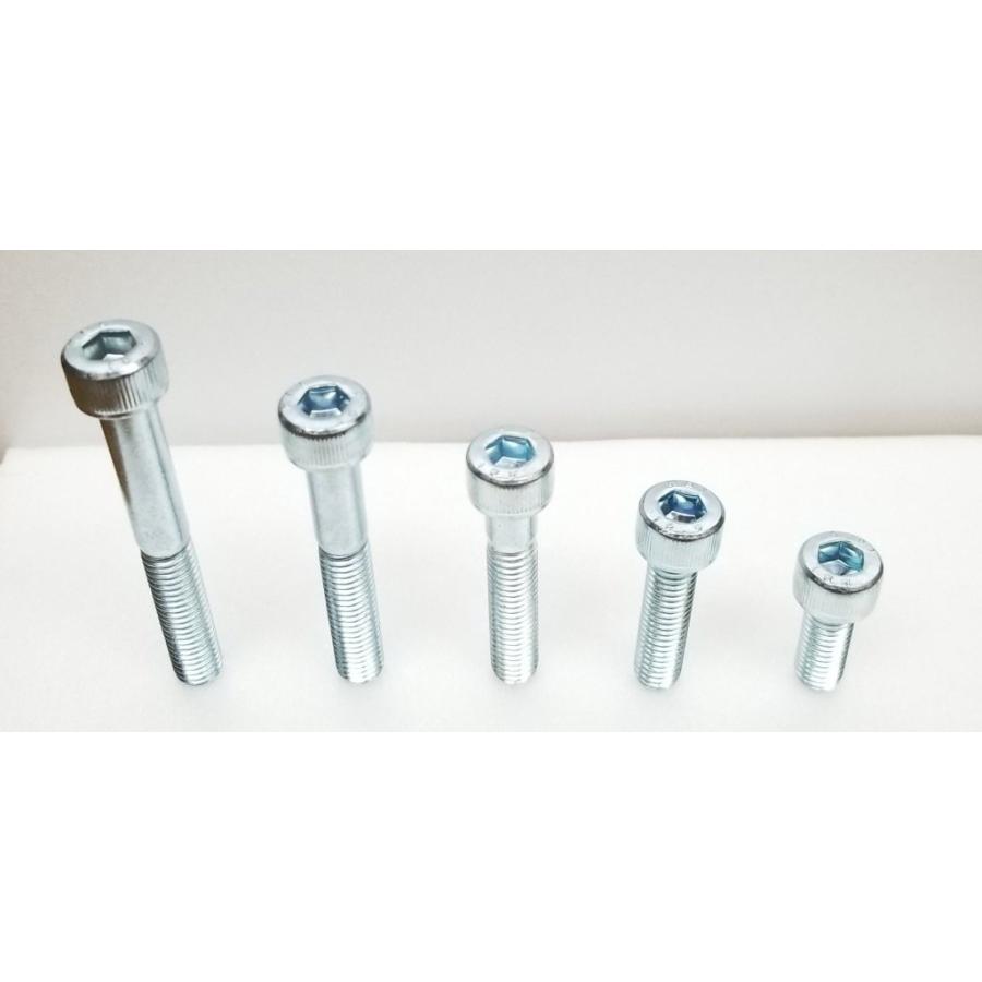 STRIKER ストライカー 【補修部品】サイレンサースライダー用キャップボルト サイズ：75mm その他ガード・スライダーオプション・補修部品 フレーム | STRIKER