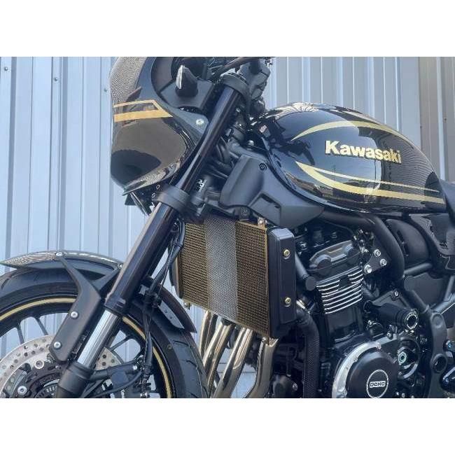 Titanium Power チタニウムパワー チタンラジエターコアガード カラー