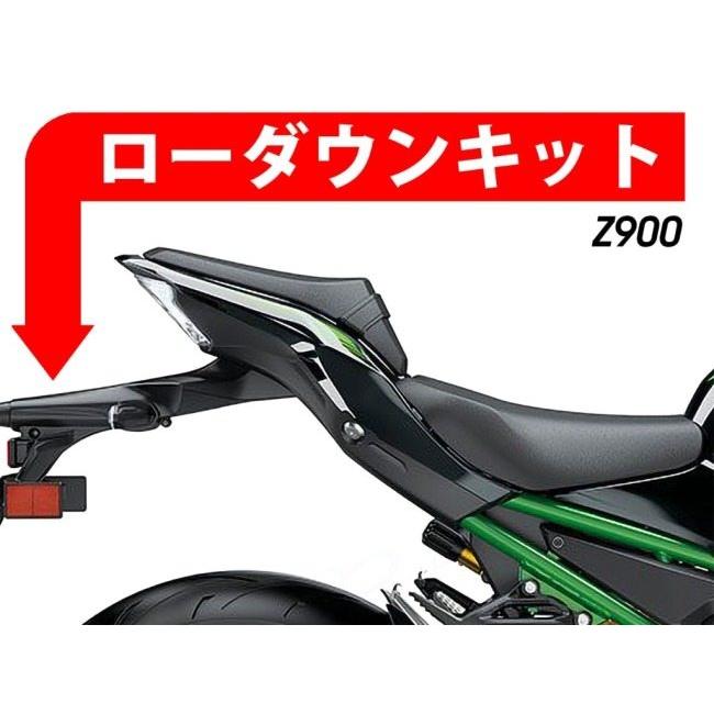 P&A International P&Aインターナショナル ローダウンキット Z 900 SE