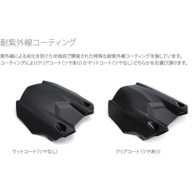 FullSix FullSix:フルシックス リアフェンダー コーティング：クリア