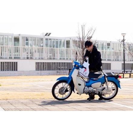 World Walk ワールドウォーク センターバスケット スーパーカブ110 HONDA ホンダ カゴ・バスケット 外装_19